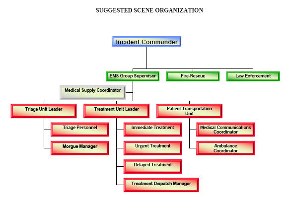 Suggested Scene Organization