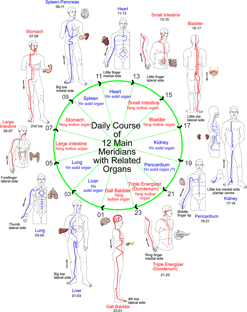 Meridians Too